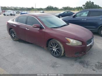  Salvage Nissan Maxima