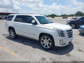  Salvage Cadillac Escalade