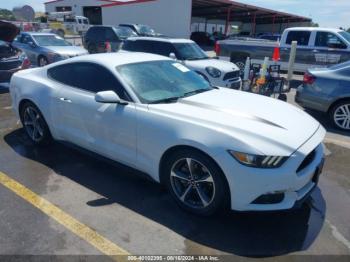  Salvage Ford Mustang