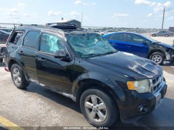  Salvage Ford Escape