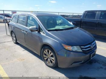  Salvage Honda Odyssey