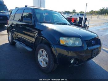  Salvage Ford Escape