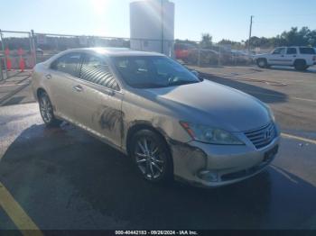  Salvage Lexus Es