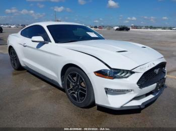  Salvage Ford Mustang