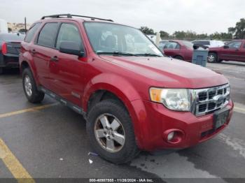  Salvage Ford Escape