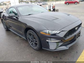  Salvage Ford Mustang