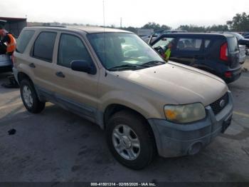  Salvage Ford Escape