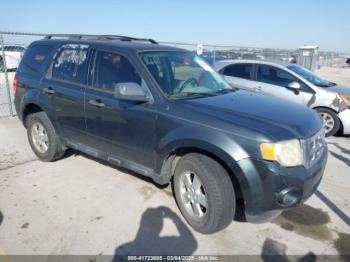  Salvage Ford Escape