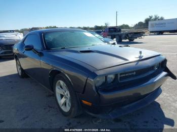  Salvage Dodge Challenger