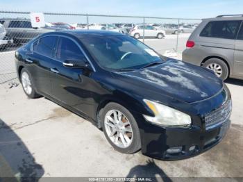  Salvage Nissan Maxima