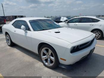  Salvage Dodge Challenger