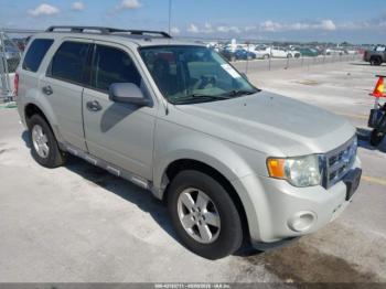  Salvage Ford Escape