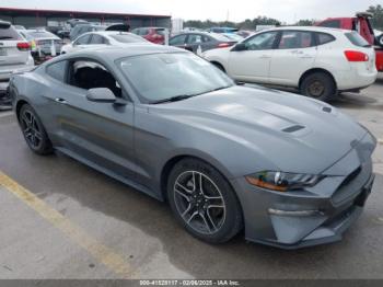 Salvage Ford Mustang