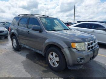  Salvage Ford Escape