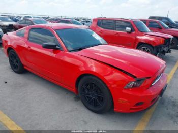  Salvage Ford Mustang