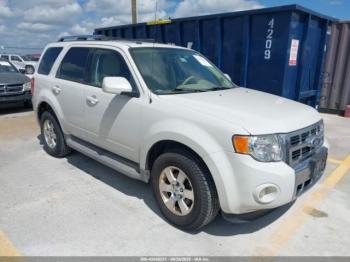  Salvage Ford Escape