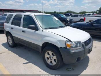  Salvage Ford Escape