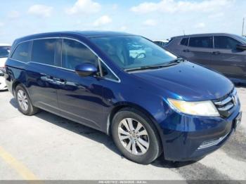  Salvage Honda Odyssey