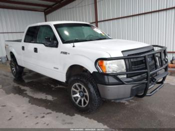  Salvage Ford F-150
