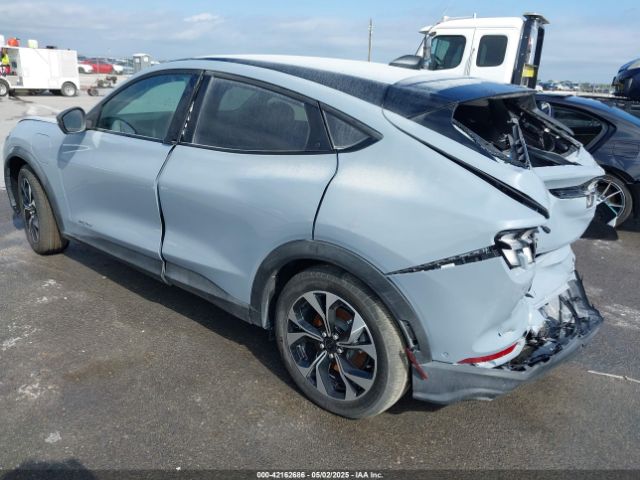 Ford Mustang Select Image 2