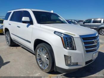  Salvage Cadillac Escalade