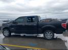 Ford F-150 Image 8