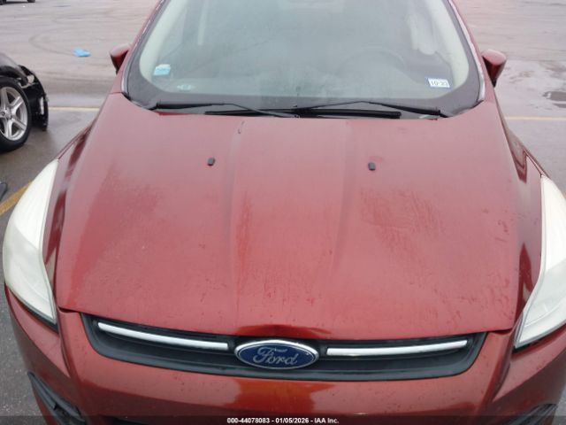 Ford Escape Se Image 7