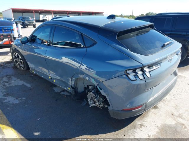 Ford Mustang Select Image 6