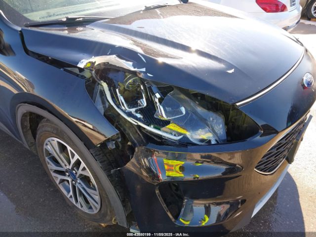 Ford Escape Sel Image 9