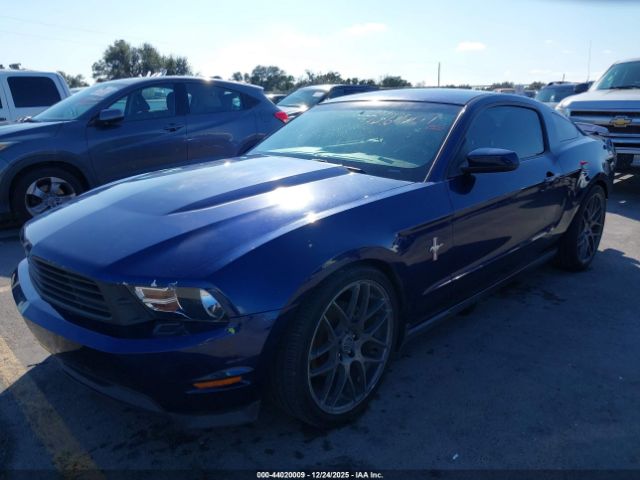 Ford Mustang V6 Premium Image 3